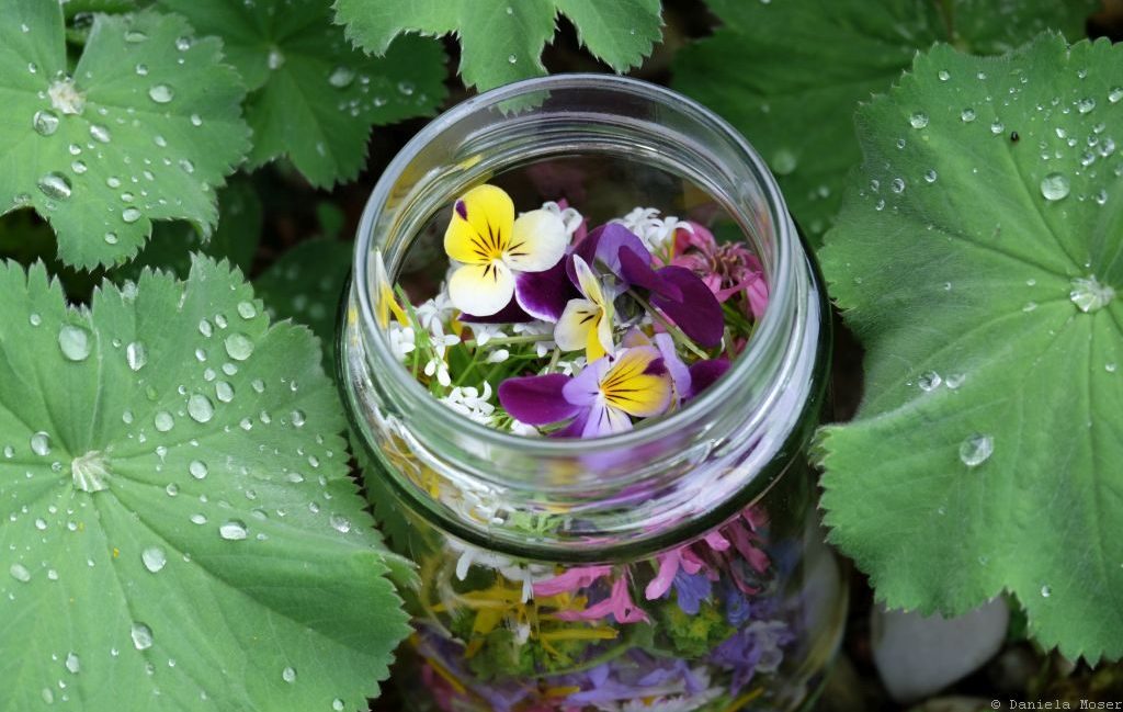 Frühlingsblüten im Glas