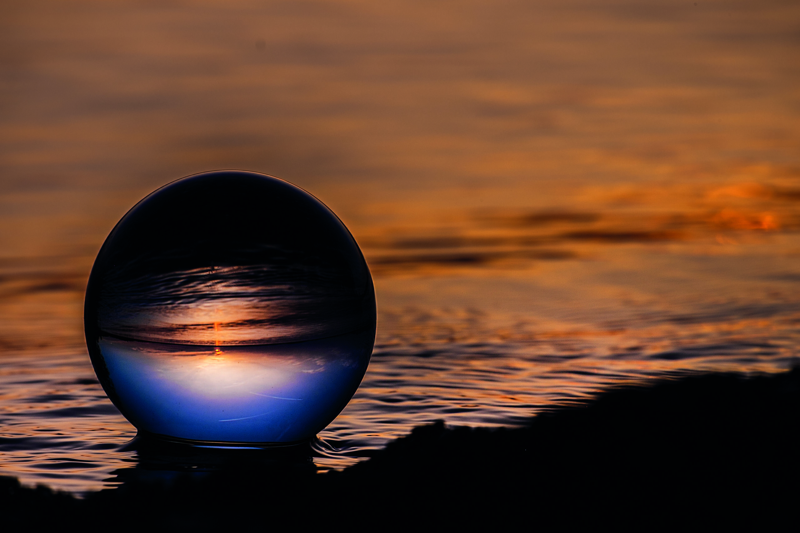 HEILPFLANZENKRAFT & SONNENMEDIZIN