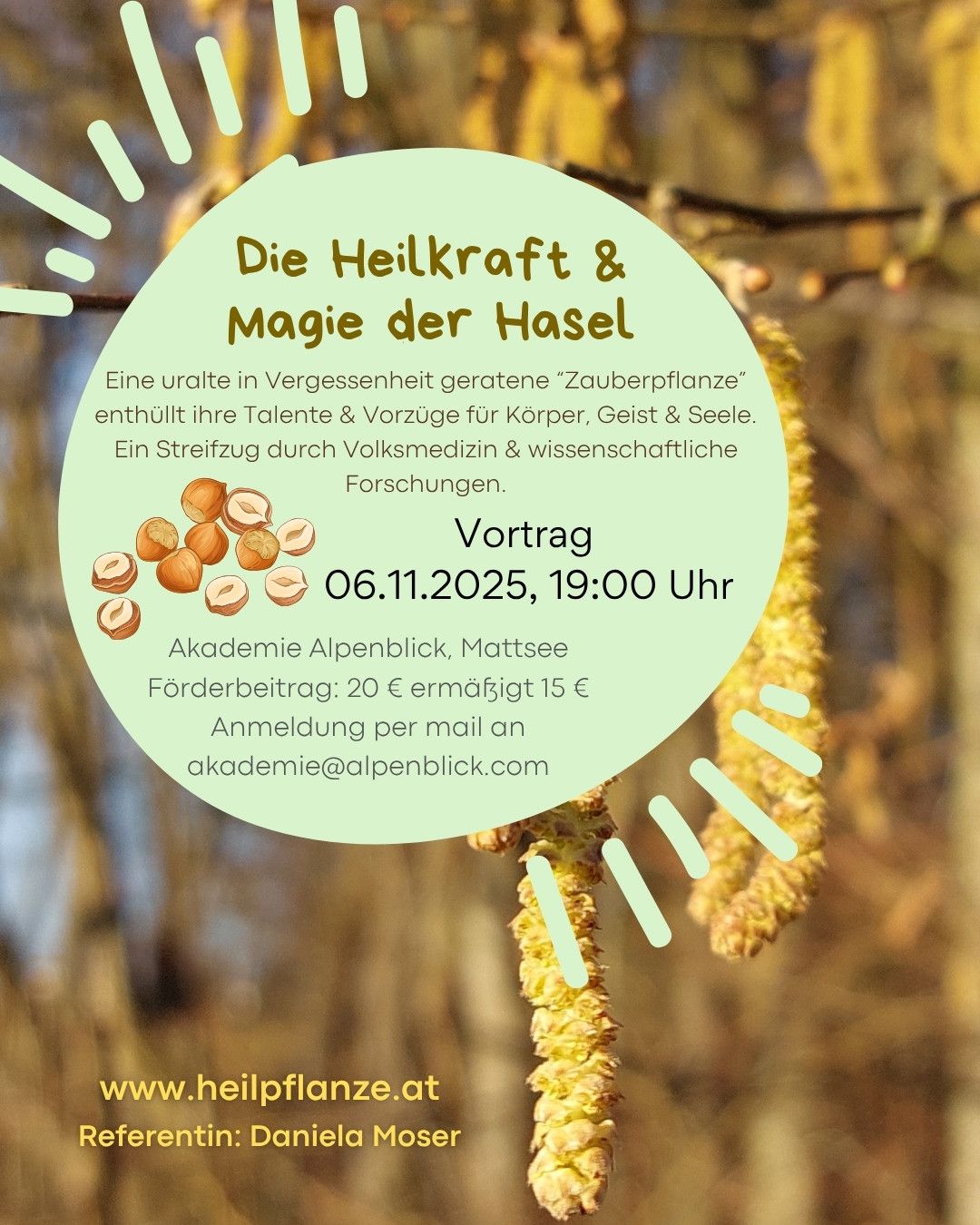 DIE VERGESSENE HEILKRAFT & MAGIE DER HASEL