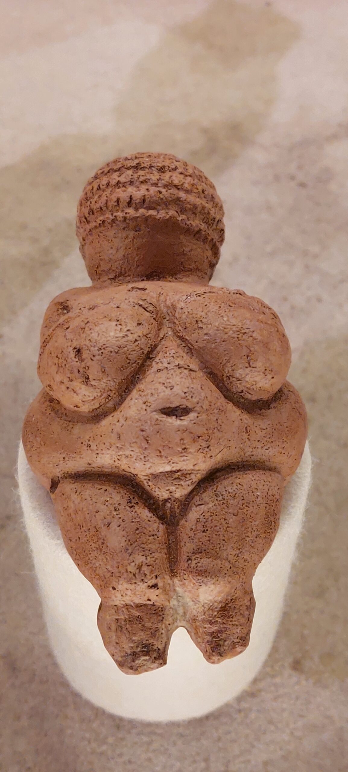 WILDE KRÄUTER - WILDE FRAUEN - auf den Fährten weiblicher Kraft