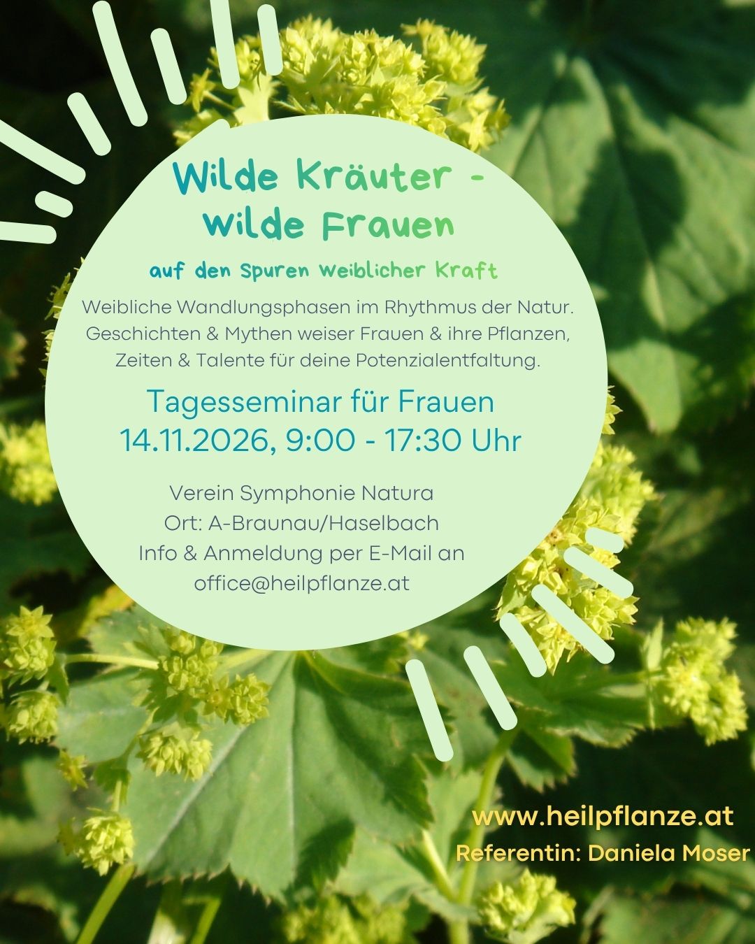 WILDE KRÄUTER - WILDE FRAUEN - auf den Fährten weiblicher Kraft